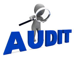 Information System Audit Services